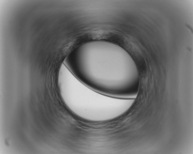 X0000099310219200805020739