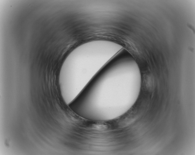 X0000099310220200805020739