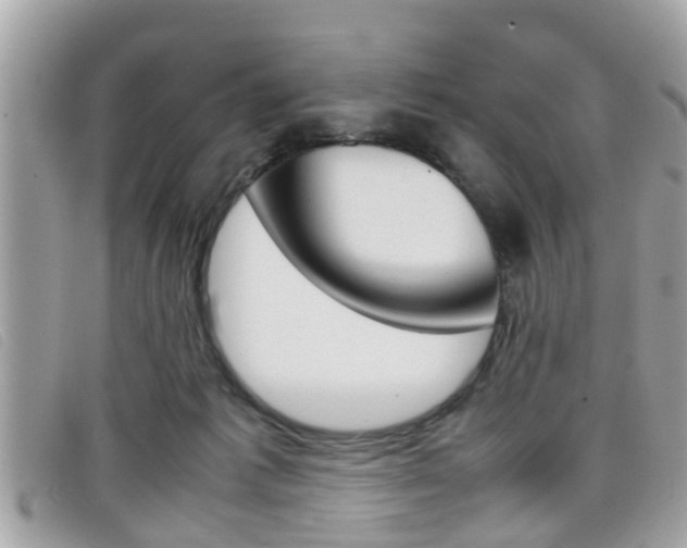 X0000099310221200805020739