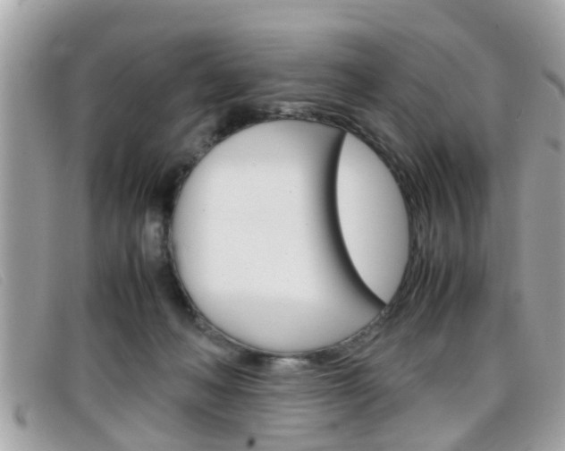 X0000099310222200805020739