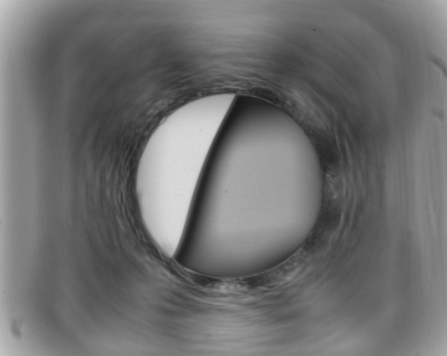 X0000099310223200805020739