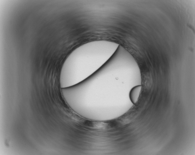 X0000099310226200805020739