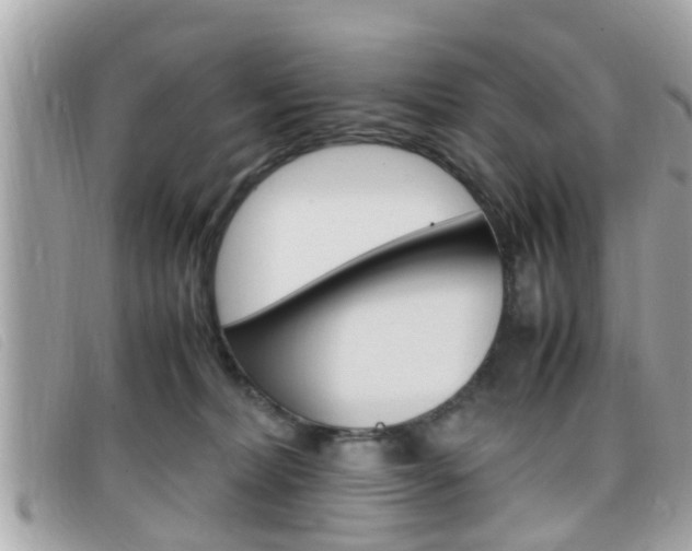 X0000099310228200805020739