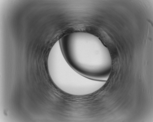X0000099310229200805020739