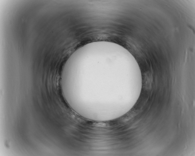 X0000099310230200805020739