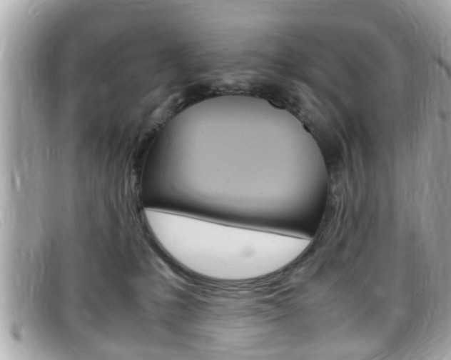 X0000099310231200805020738