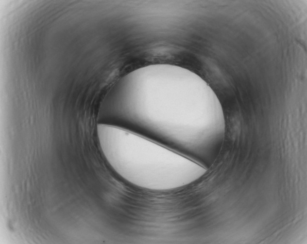 X0000099310232200805020738
