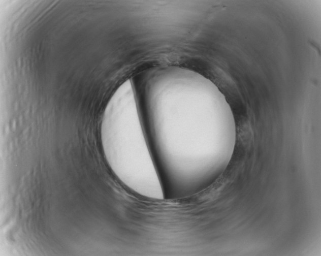 X0000099310233200805020738