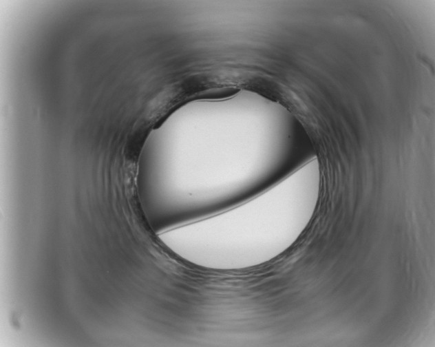 X0000099310237200805020738