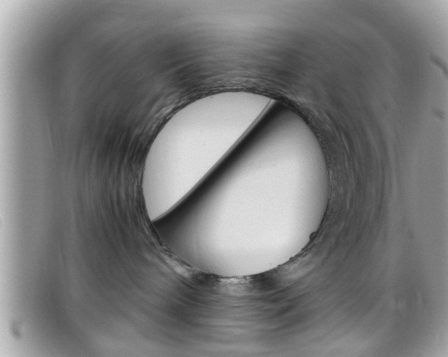 X0000099310240200805020738