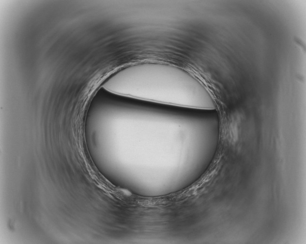 X0000099310241200805020738