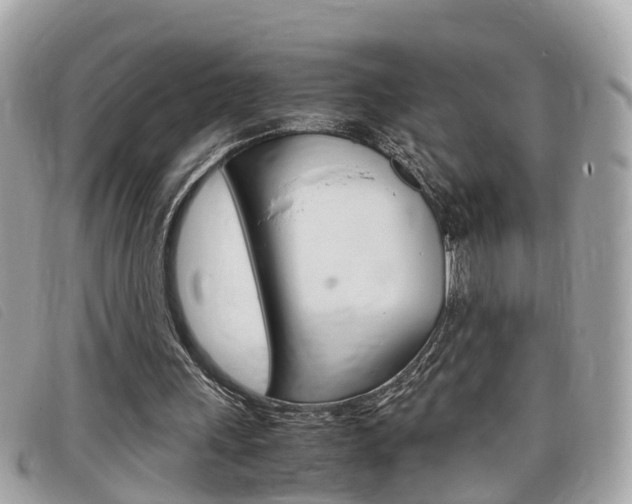 X0000099310243200805020738