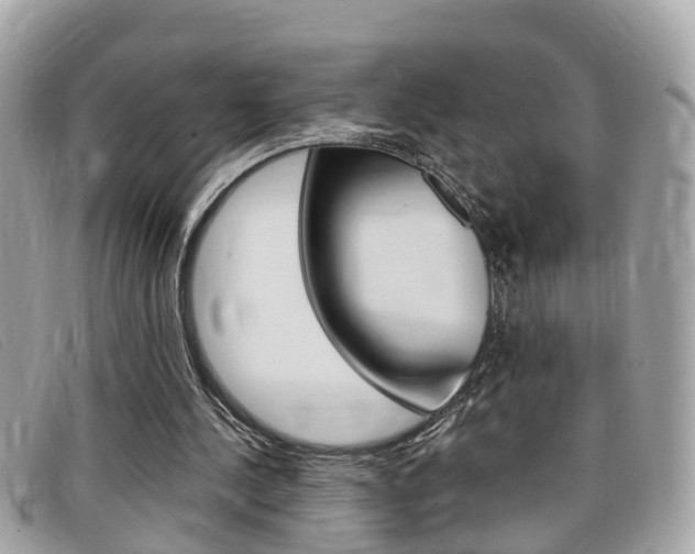 X0000099310244200805020738