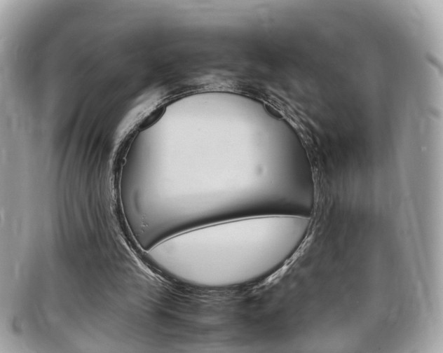 X0000099310245200805020738