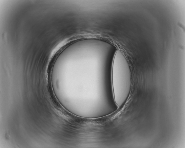 X0000099310246200805020738