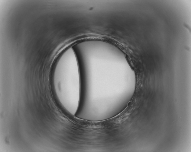 X0000099310247200805020738