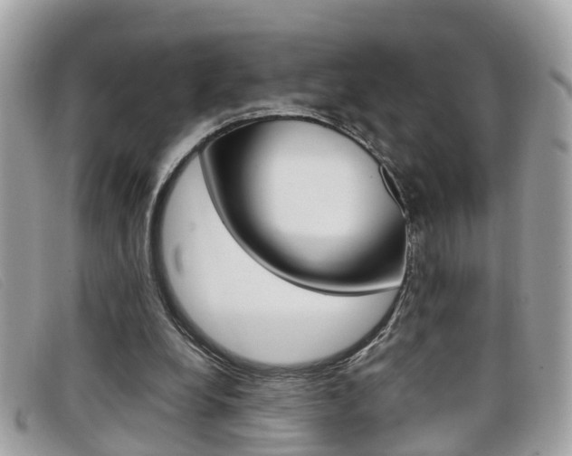 X0000099310248200805020738
