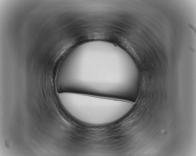 X0000099310251200805020738