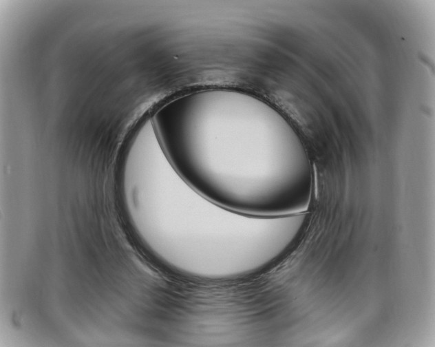 X0000099310252200805020738