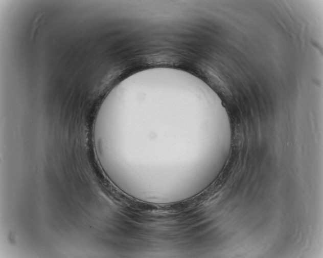 X0000099310255200805020738