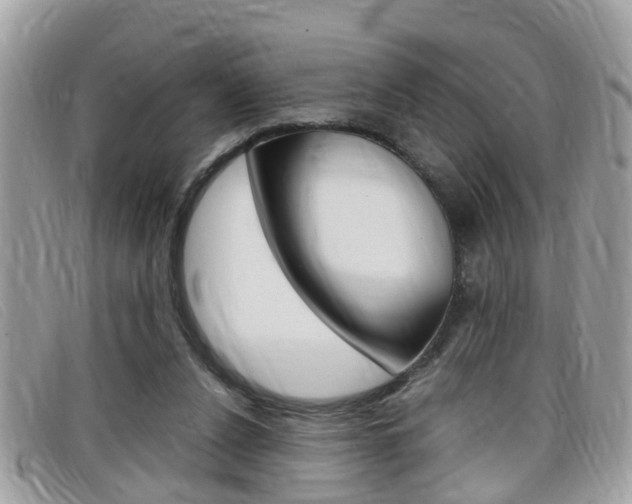 X0000099310256200805020738