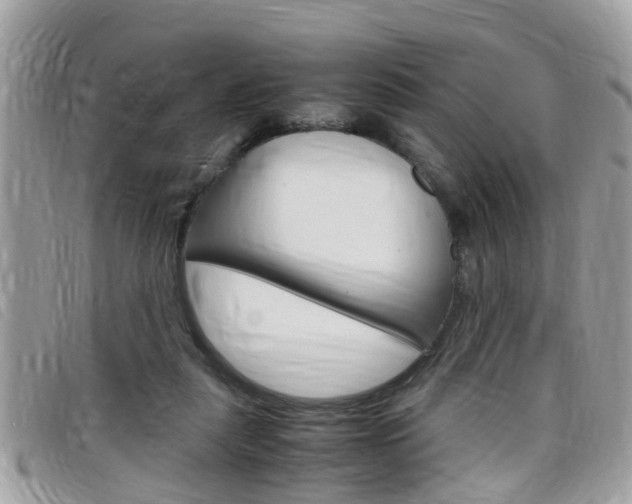 X0000099310259200805020738