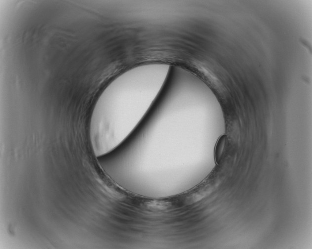 X0000099310261200805020738