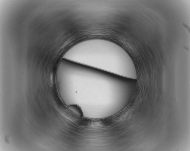 X0000099310262200805020738
