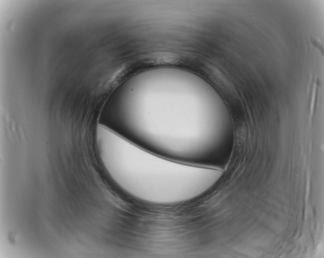 X0000099310264200805020738