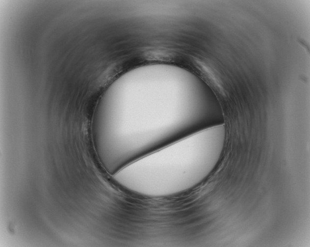 X0000099310265200805020738