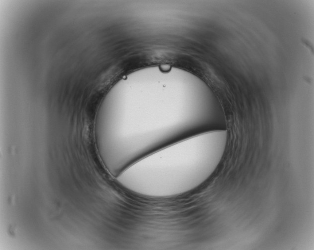 X0000099310266200805020738