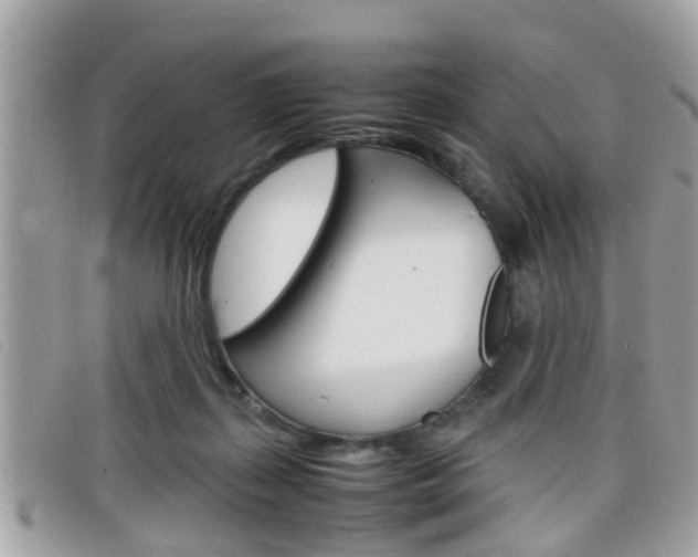 X0000099310267200805020738