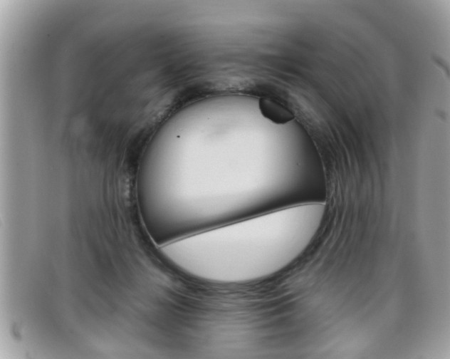 X0000099310268200805020738