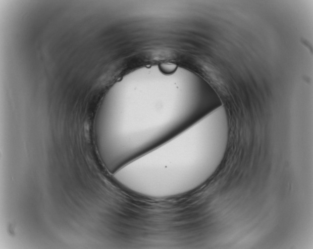 X0000099310269200805020738