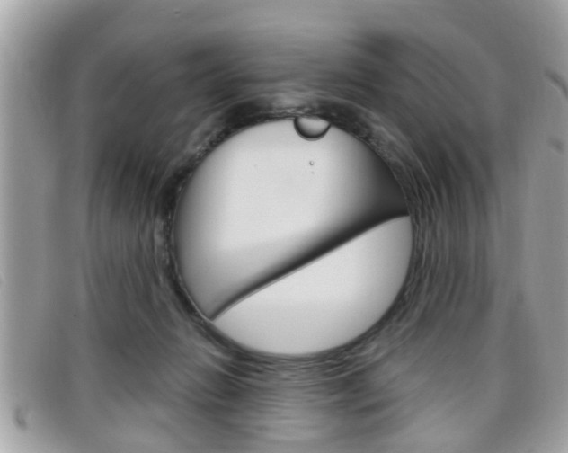 X0000099310270200805020738