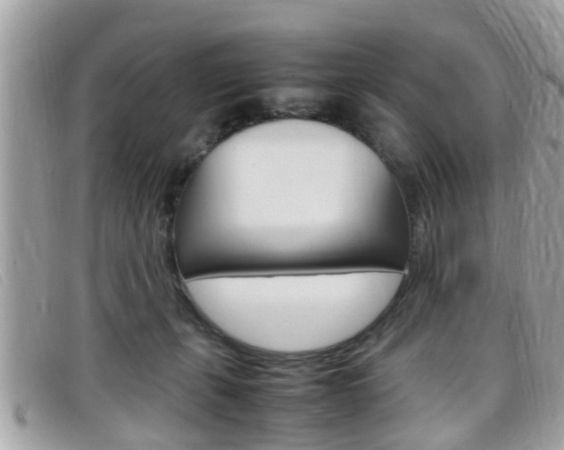 X0000099310271200805020738
