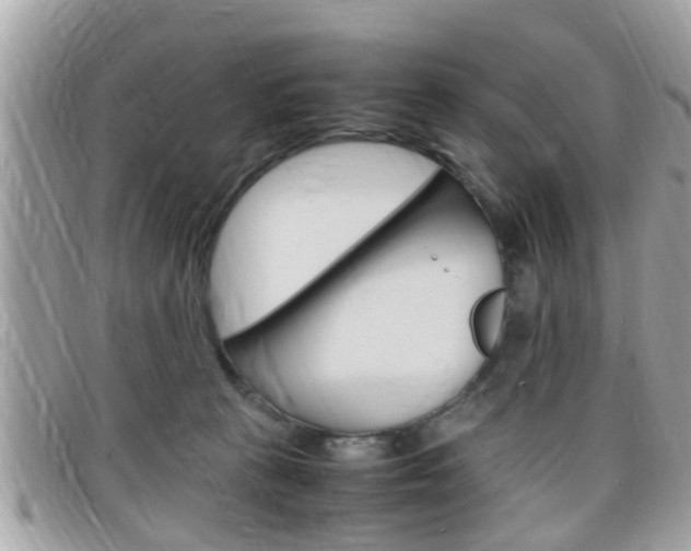 X0000099310273200805020738