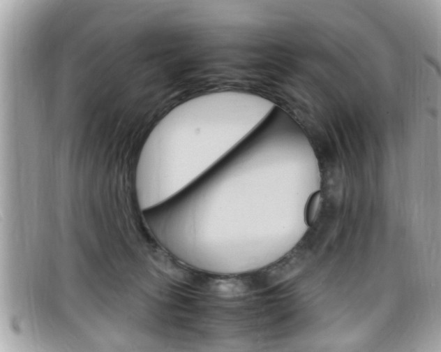 X0000099310275200805020738