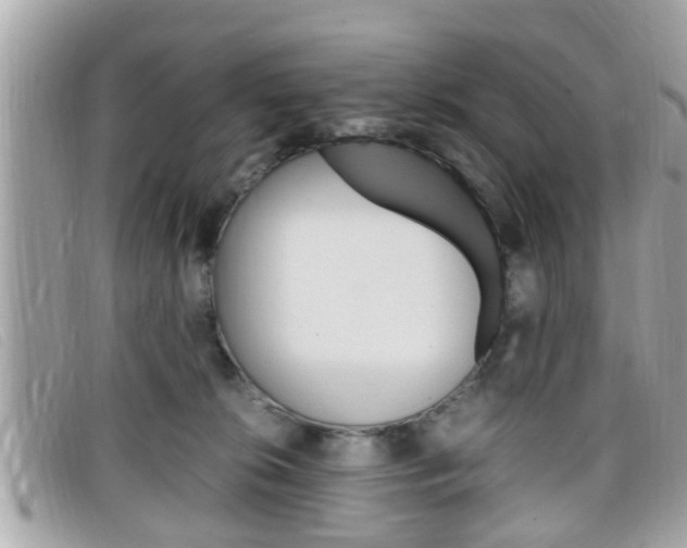 X0000099310276200805020738