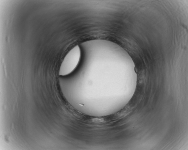X0000099310279200805020738