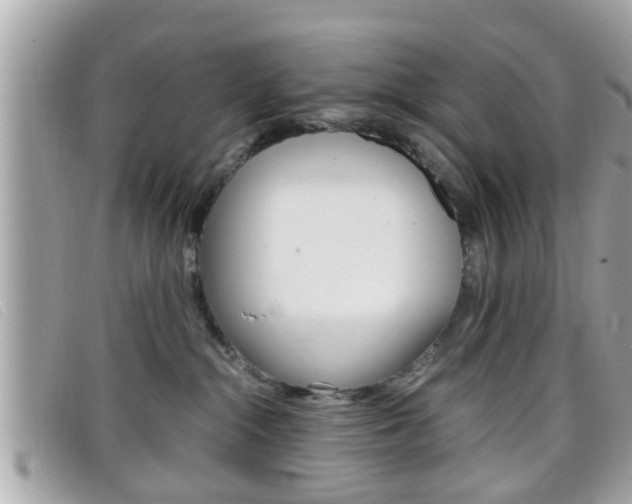 X0000099310284200805020738