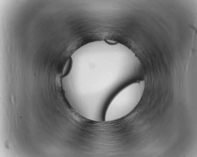 X0000099310286200805020738