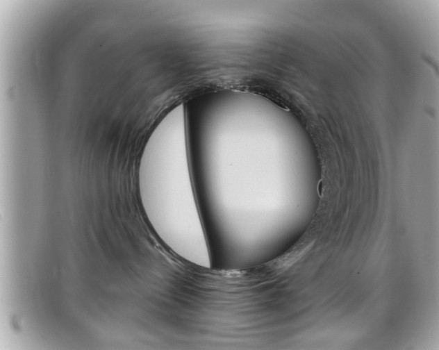 X0000099310288200805020738