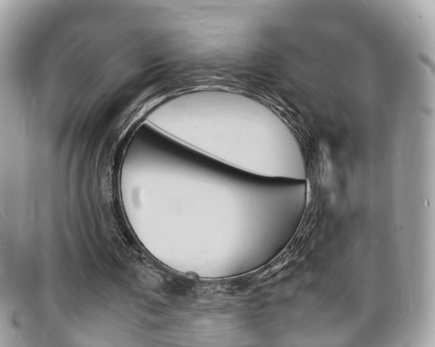 X0000099310291200805020738