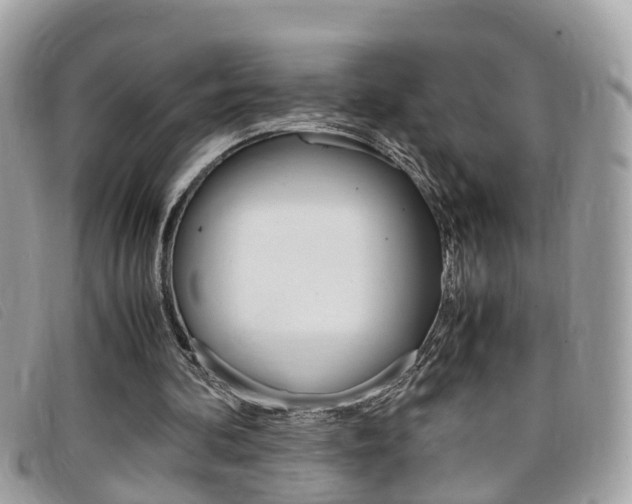 X0000099310292200805020738