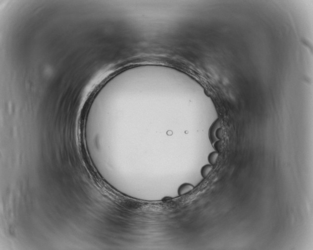X0000099310294200805020738