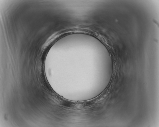 X0000099310295200805020738