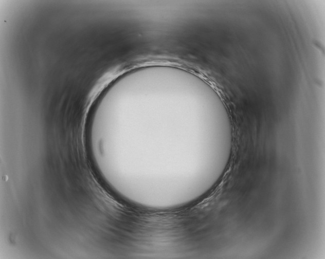 X0000099310296200805020738