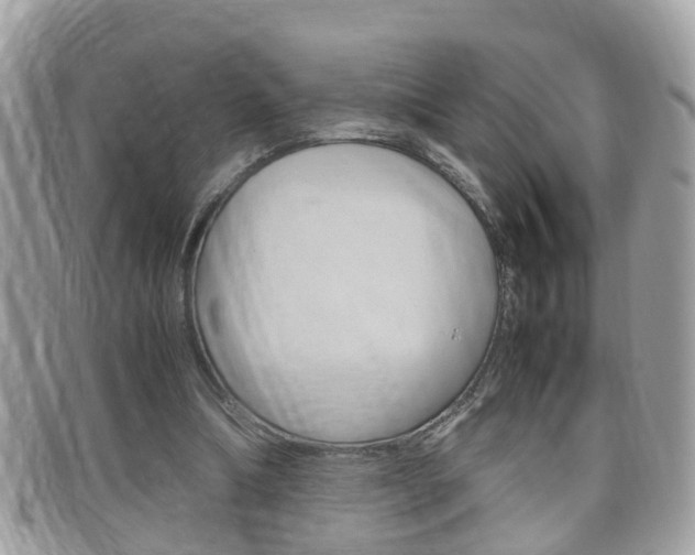 X0000099310298200805020738