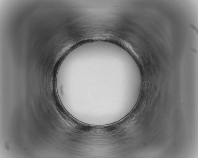 X0000099310299200805020738